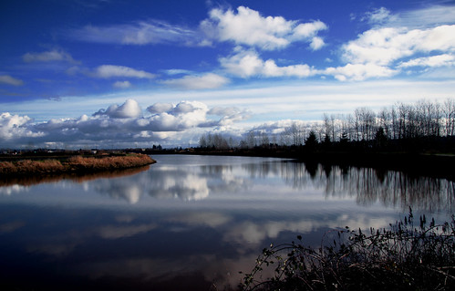South Delta, BC. by * Ahmad Kavousian *
