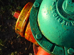 Hydrant water damages books of California Historical Society
