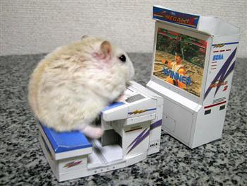 Hamster by Rosemobile