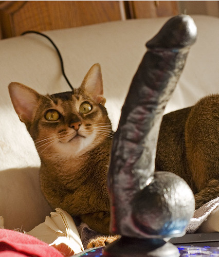 pussy n peepee02 | Flickr - Photo Sharing!
