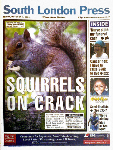 Squirrels on Crack