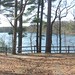 Walden Pond Panorama