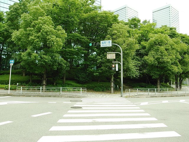 大阪城公園にて午前の散歩的なサイクリング: NOTE