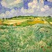 Plain near Auvers by Van Gogh