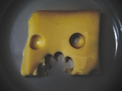 Hungry cheese ©  Mikhail Kryshen