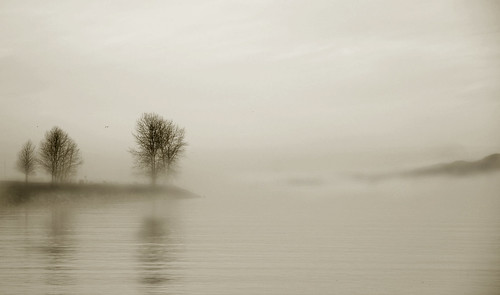 Bare in the mist... by * Ahmad Kavousian *