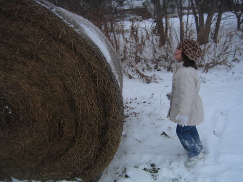 Barrels Of Hay. Arabesque and a arrel of hay