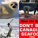 Stop the Seal Hunt
