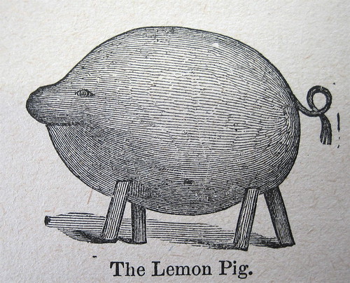 lemon pig