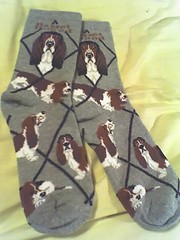 Basset Hound socks