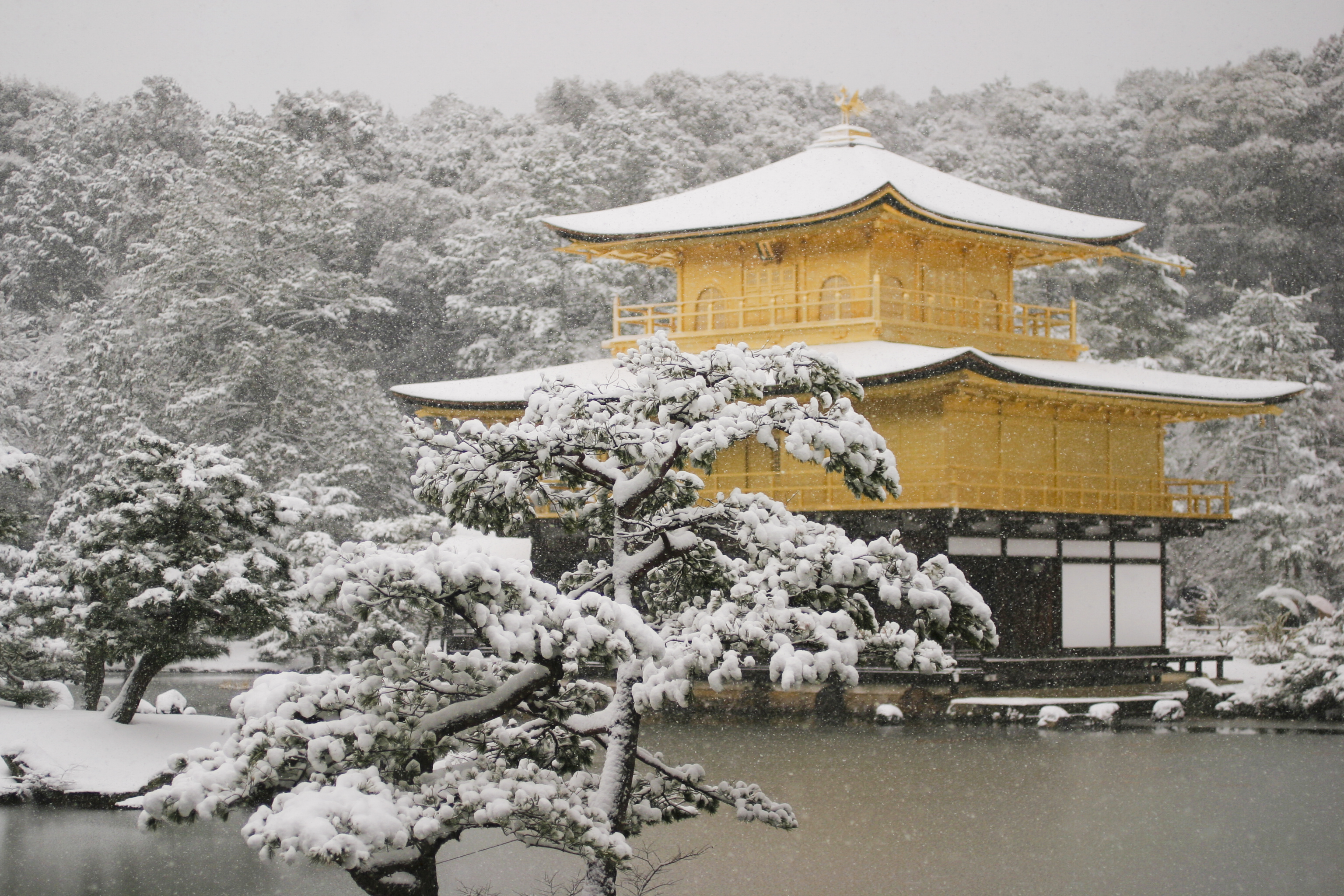 積雪の金閣寺