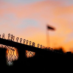 Fences on Pennsylvania Ave #instadc #DC via #activetransportation