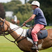 Pictures of Polo Ponies in Phoenix Park