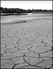 Drought Po River