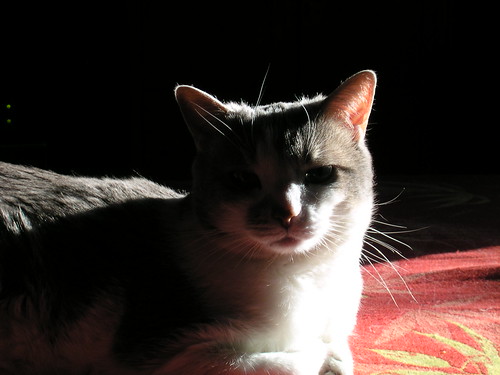 Lucy in a sunbeam, 1