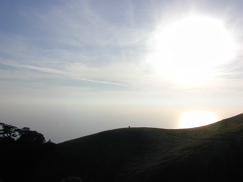 View of the Pacific from Mt.Tam