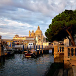Venezia*