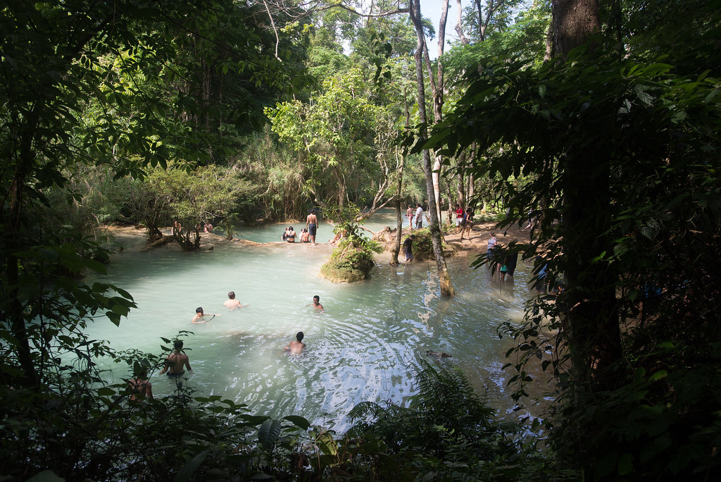 Swimming in Kuang Si Falls