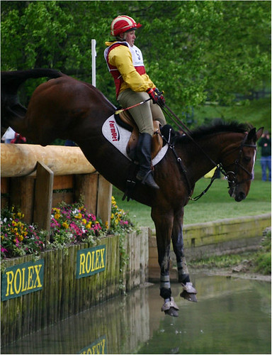 cross country jumping horse. Cross country equestrian