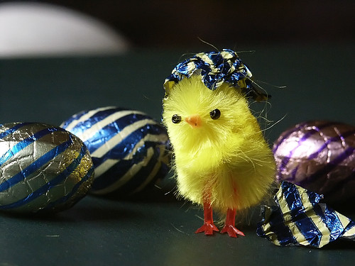 One easter egg has hatched. Happy Easter!