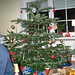Juletræet 2005