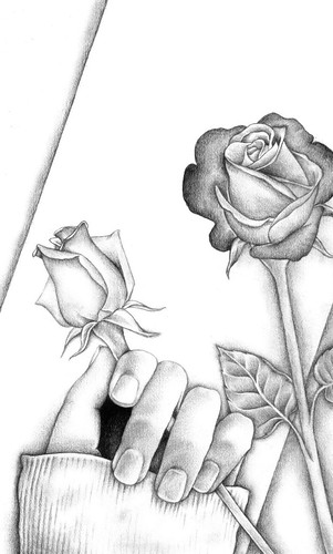 Tags roses portrait art rose pencil sketch hand heart drawing