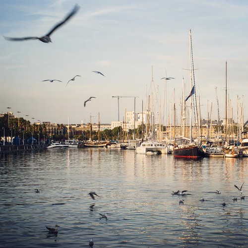 2012     #Travel #Memories #Throwback #2012 #Autumn #Barcelona #Spain      #Sea #Boat #Yacht #Bird #Seagull ©  Jude Lee