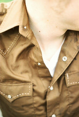 Brown Series Shirt by Karla Jean Davis