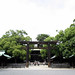 Yoyogi Park - Meiji Shrine