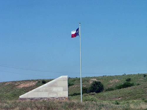 texas flag shorts. Texas Flag