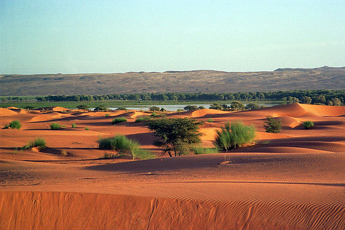 تعرف على موريتانيا الحبيبة البلد المجهول بالنسبة لكثيرين  172603821_50f1d60d08