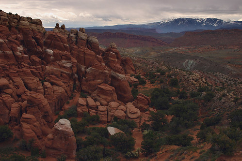 Fiery Furnace and More