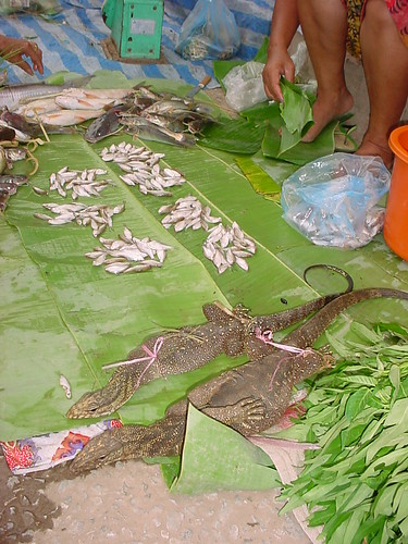 Fresh lizards and fish from Mekong, Laos