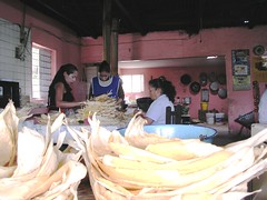 Preparation of tamales Mexican women Durango Mexico Sierra Madre Latin America