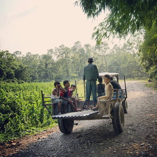   ... 2009   ...    ... #Travel #Memories #2009 #Chitwan #National #Park    #Nepal        ...          #Children #Peoples #Truck #Road ©  Jude Lee