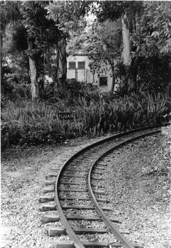 Train tracks in Balboa Park