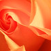 Rose Petal Twirl