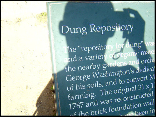 Dung repository