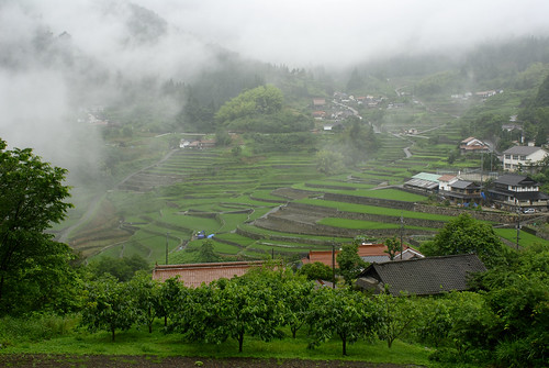 Ini terraced fields. overall view