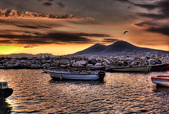 Morning Seagull over Vesuvius - by Stuck in Customs