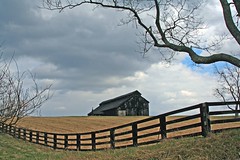 Barn, Fence, and Tree