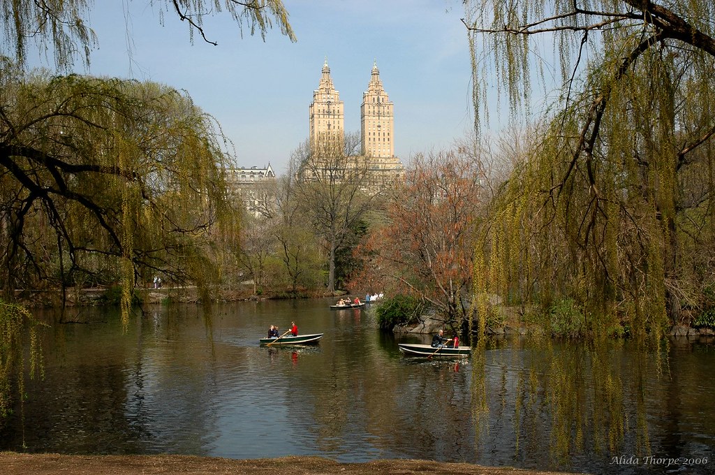 rowboats in Central Park