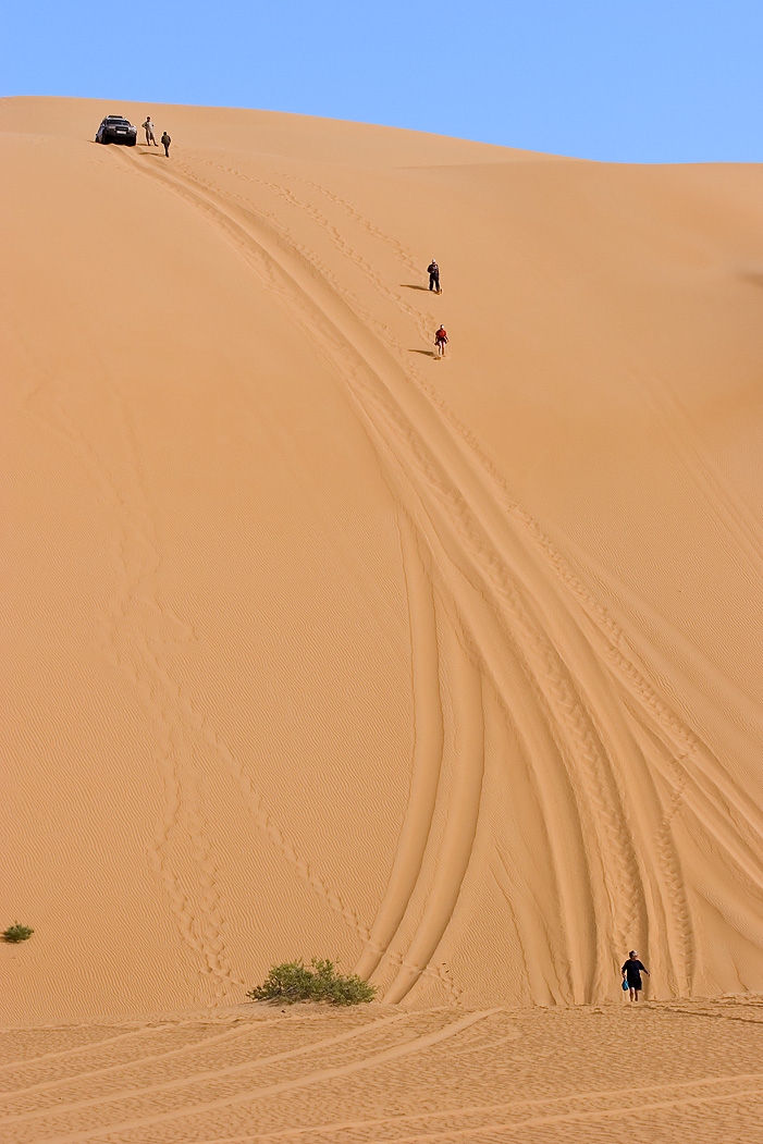 صور طبيعه صحراء
