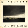 a witness | i am john's pancreas
