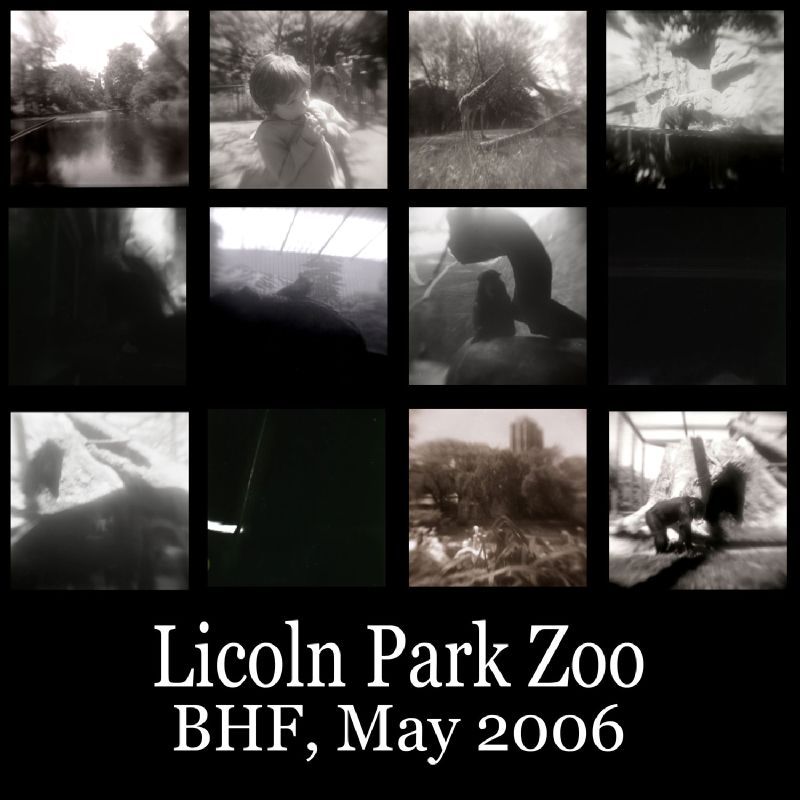 Lincoln Park Zoo BHF Set There might 
