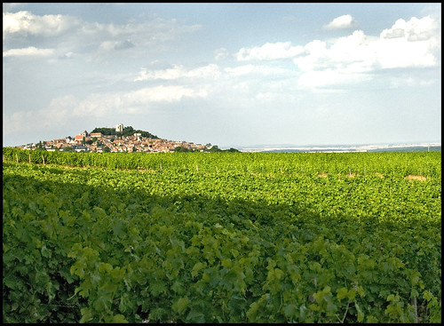 The vines surrounding Sancerre. Photo: Alain Bachellier 