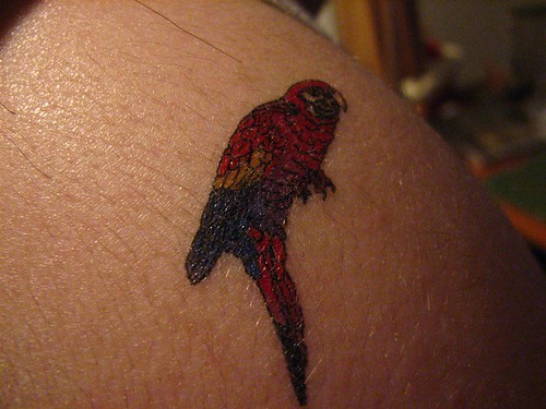 parrot tattoo. fake parrot tattoo