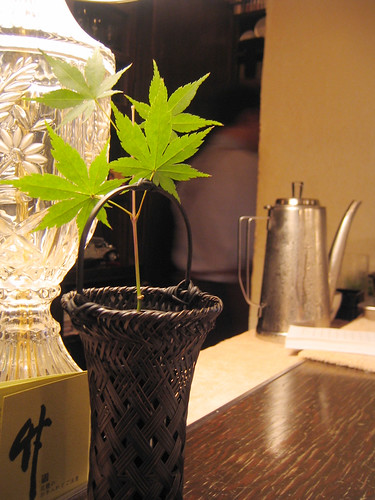 japanese maple leaf. Japanese maple leaf. at my usual cafe, the master is affected the gout. Pitiful to see, he was working with a shuffle that day :-(