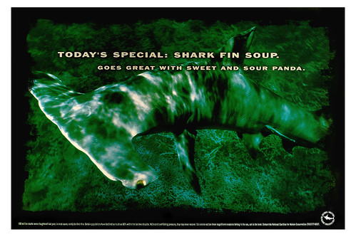 Today's special: shark fin soup. Goes great with sweet and sour panda.