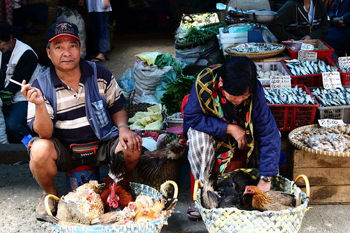 Baguio live chicken rooster sidewalk street market vendor rural Pinoy Filipino Pilipino Buhay  people pictures photos life Philippinen  菲律宾  菲律賓  필리핀(공화국) Philippines    